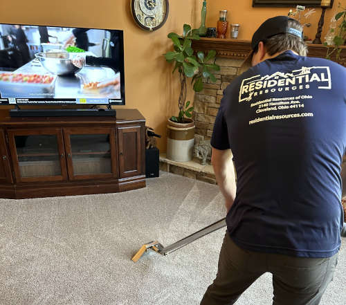 Freshly cleaned wall-to-wall carpet